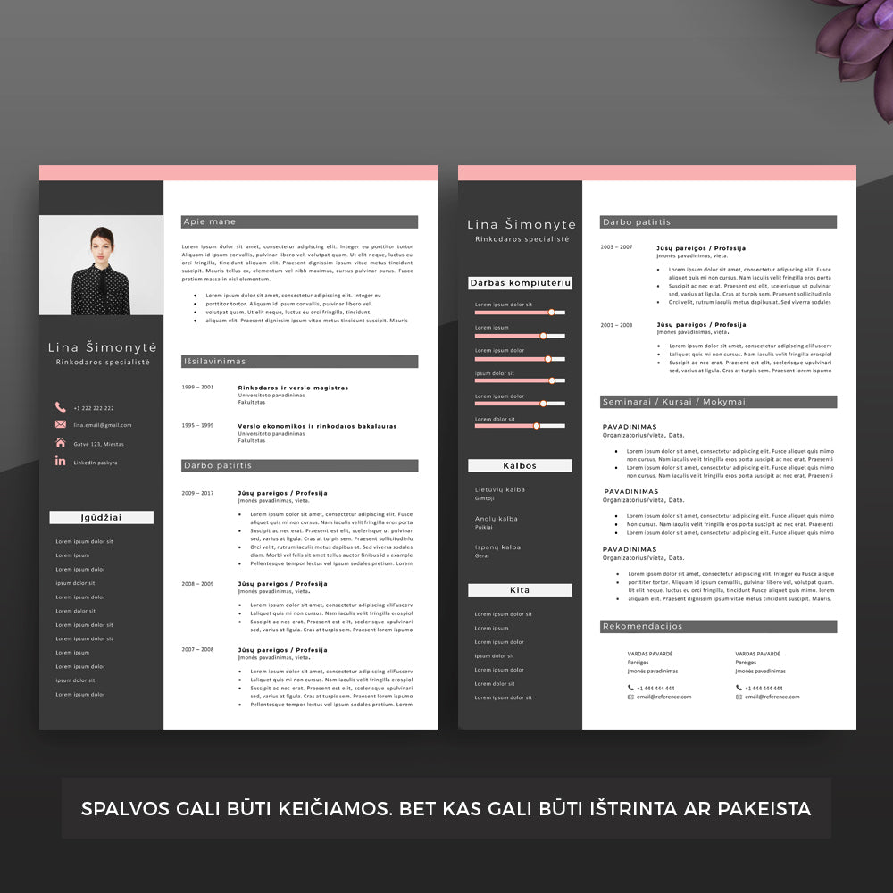 2 puslapių modernaus dizaino cv šablonai. Mes taip pat teikiame motyvacinio laiško, CV rašymo bei vertimo paslaugas.