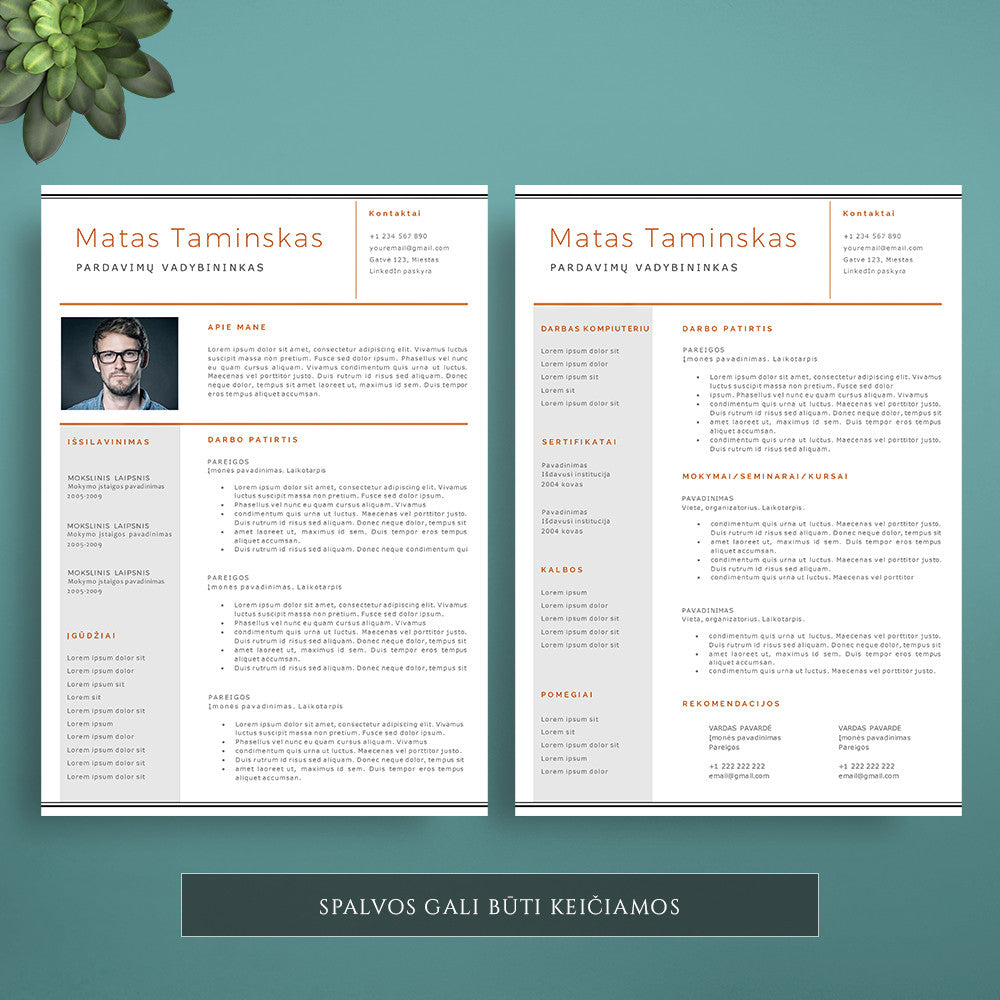 Profesionalus ir modernus CV šablonas, šablonai lengvai redaguojami su Word.