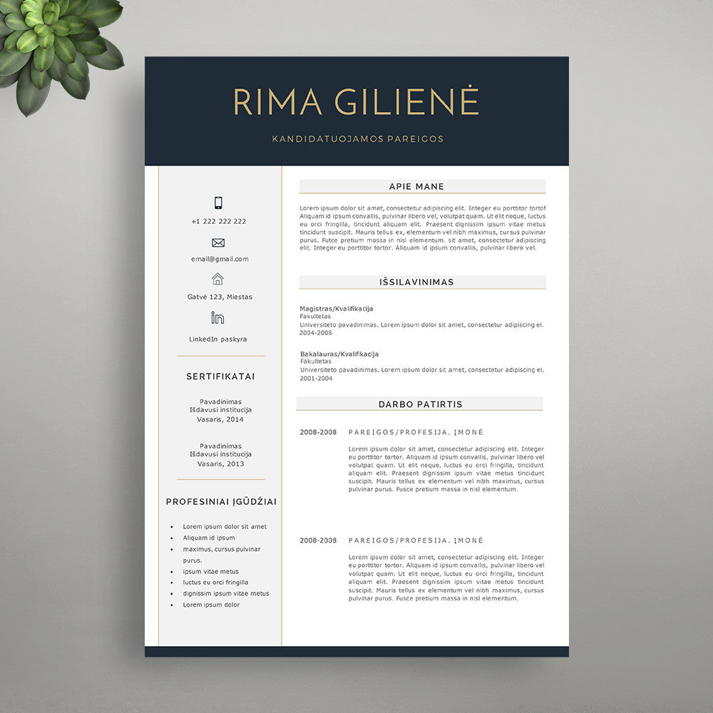 cv sablonai word, cv pavyzdys, cv dizainas