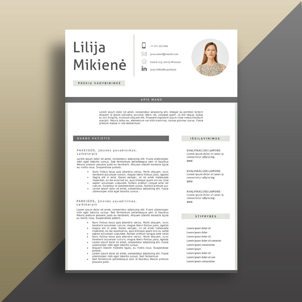 Profesionalus CV šablonas. Daugiau CV šablonų bei kitų CV paslaugų - cvsablonai.lt