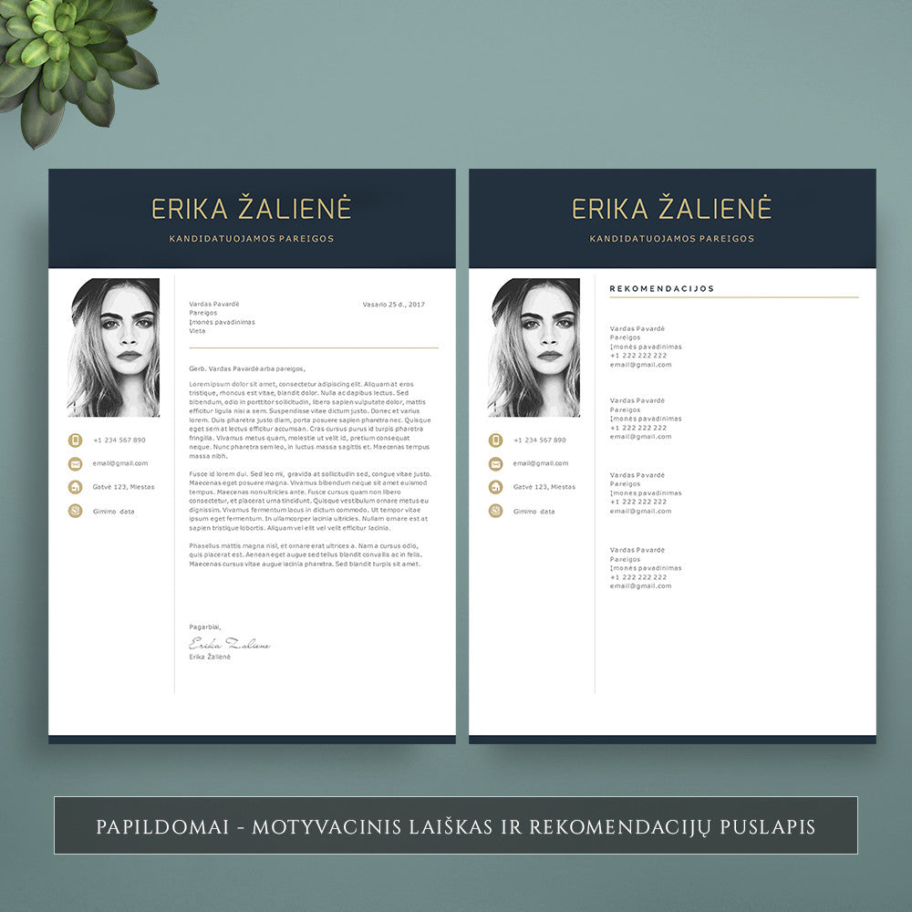 Motyvacinio laiško šablonas su nuotrauka, forma, motyvacinio laiško pavyzdys. Rekomendacijos