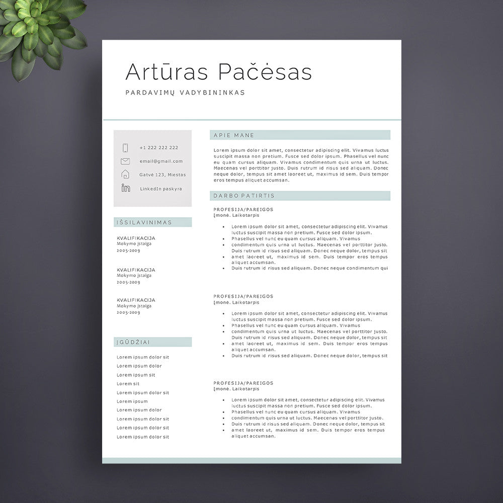Profesionalaus dizaino gyvenimo aprašymo šablonas, pavyzdys, cv sablonai