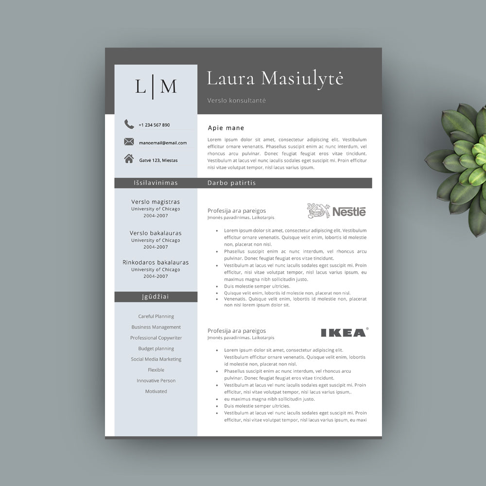 Pilkos bei melsvos spalvos CV šablonas, Curricumum Vitae pavyzdys, CV forma word PDF
