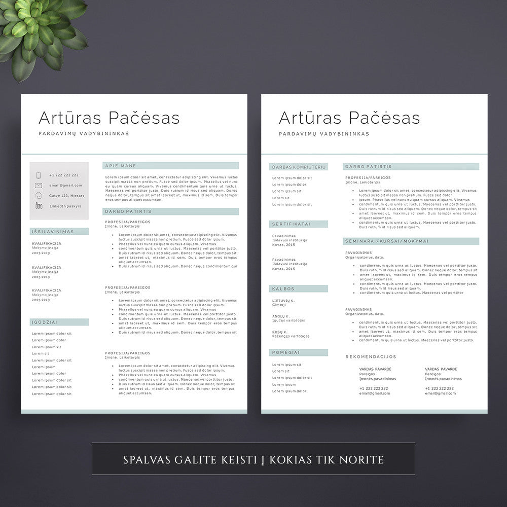 2 puslapių CV šablonas, curriculum vitae pavyzdys, CV forma