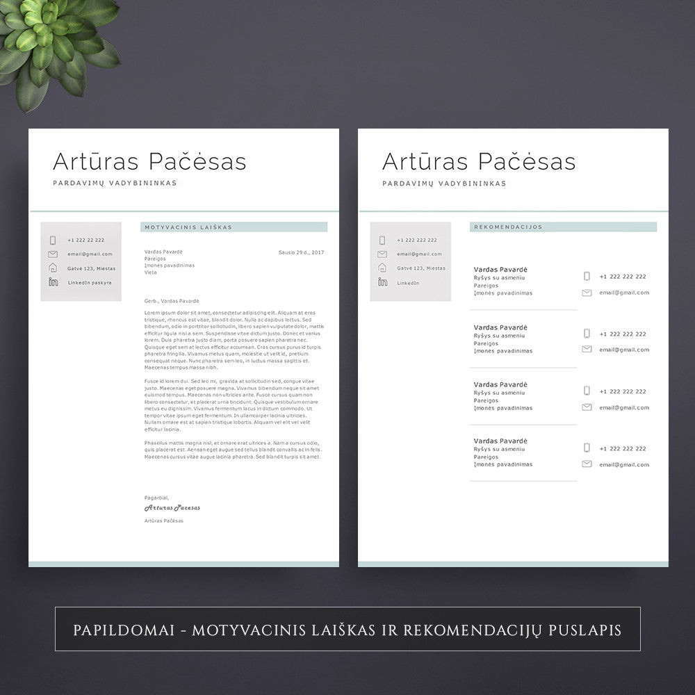 Motyvacinio laiško šablonas, forma, motyvacinio laiško pavyzdys. Rekomendacijos