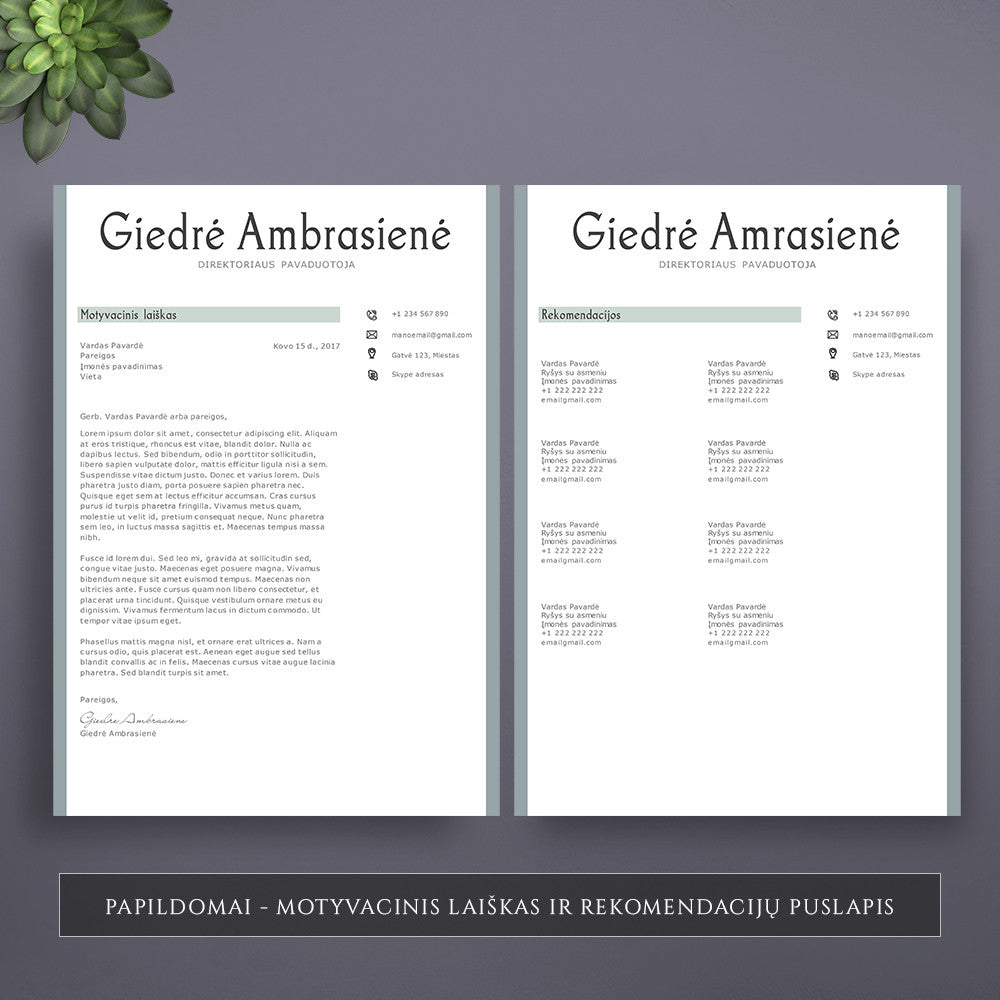 Motyvacinio laiško šablonas, rekomendacijų puslapio šablonas