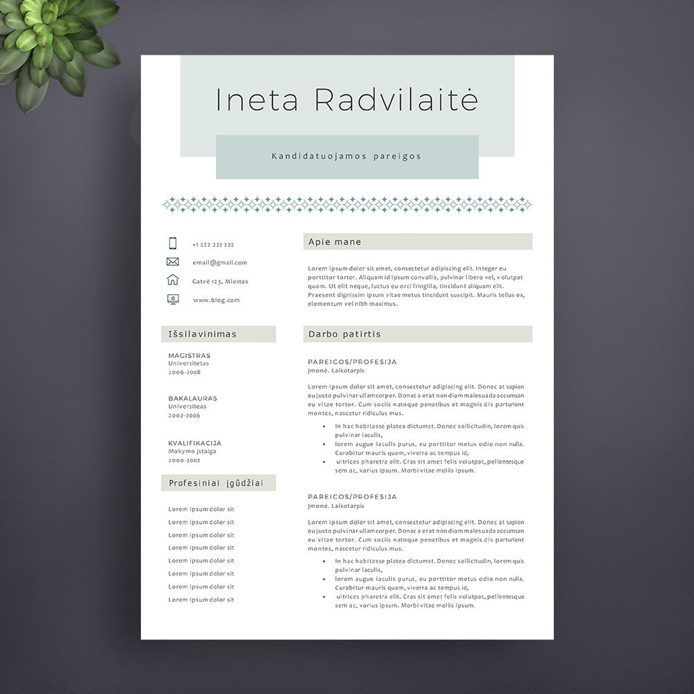 Profesionalūs cv šablonai cvsablonai.lt elektroninėje parduotuvėje