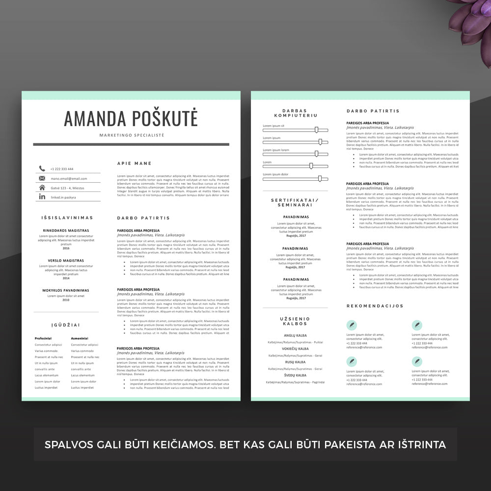 2 puslapių CV šablonas. Daugiau CV šablonų rasite cvsablonai.lt