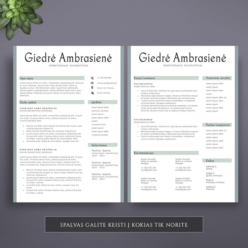 CV šablonas, CV dizainas, CV Word, CV PDF, CV pavyzdys, CV forma, CV atsisiųsti