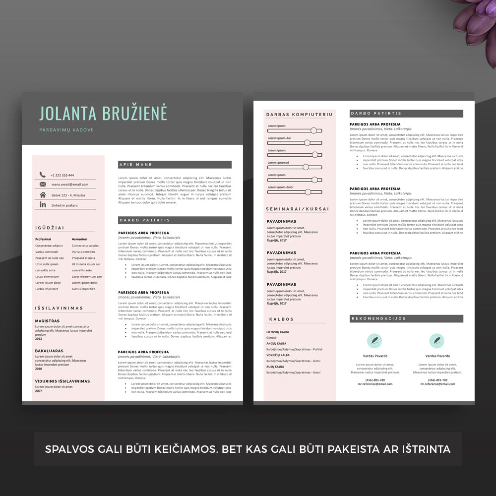 CV šablono puslapis 1 ir puslapis 2. Daugiau CV šablonų - cvsablonai.lt