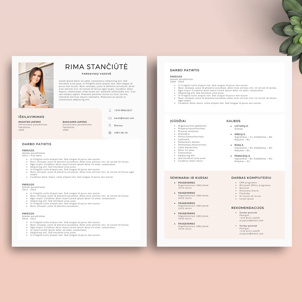 Puikus CV šablonas