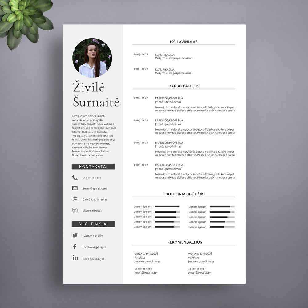 1 puslapio CV šablonas 2