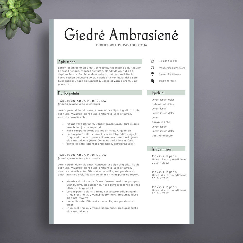 CV šablonas, profesionalus 2 puslapių CV šablonas