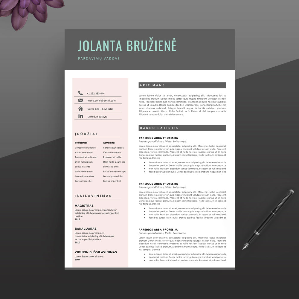 CV šablonas lengvai redaguojamas su MS Word programa.