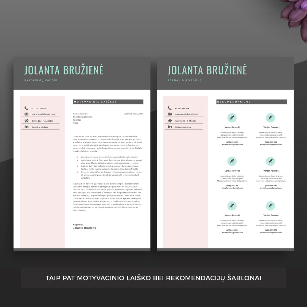 Motyvacinis laiškas ir rekomendacijos