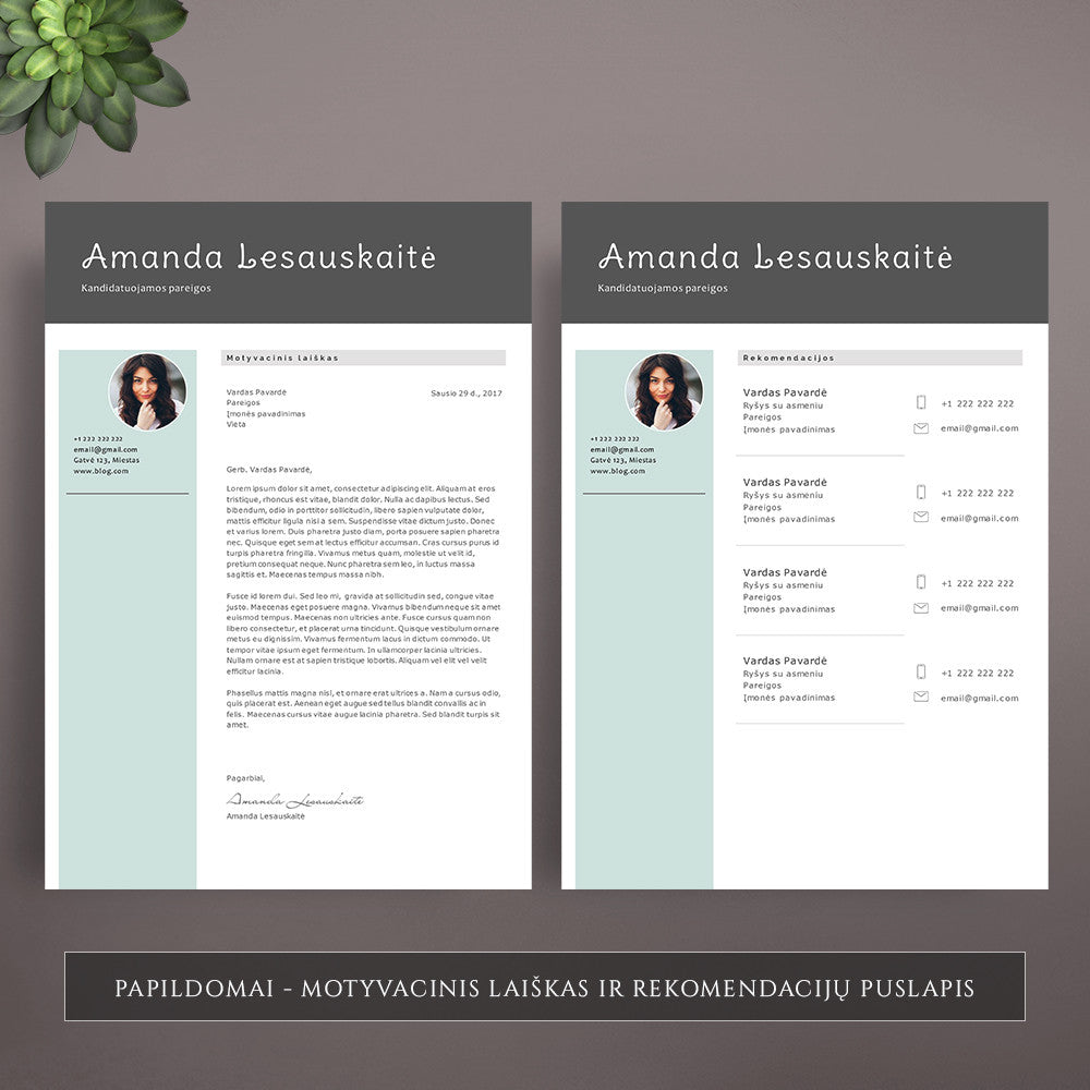 motyvacinis laiškas, rekomendacijų puslapis
