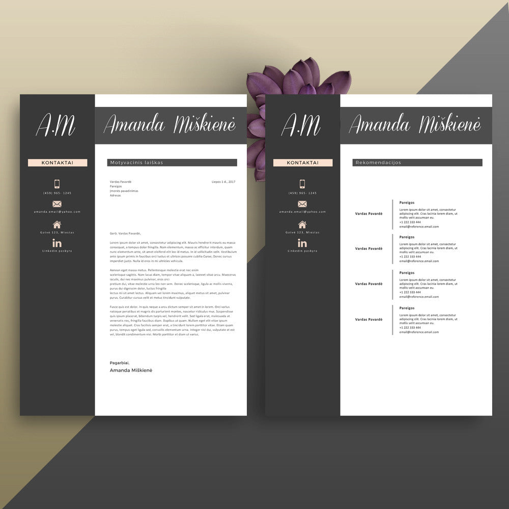 Taip pat motyvacino laiško ir rekomendacijų pulapio šablonai .doc bei .docx formatu. Daugiau šablonų - cvsablonai.lt