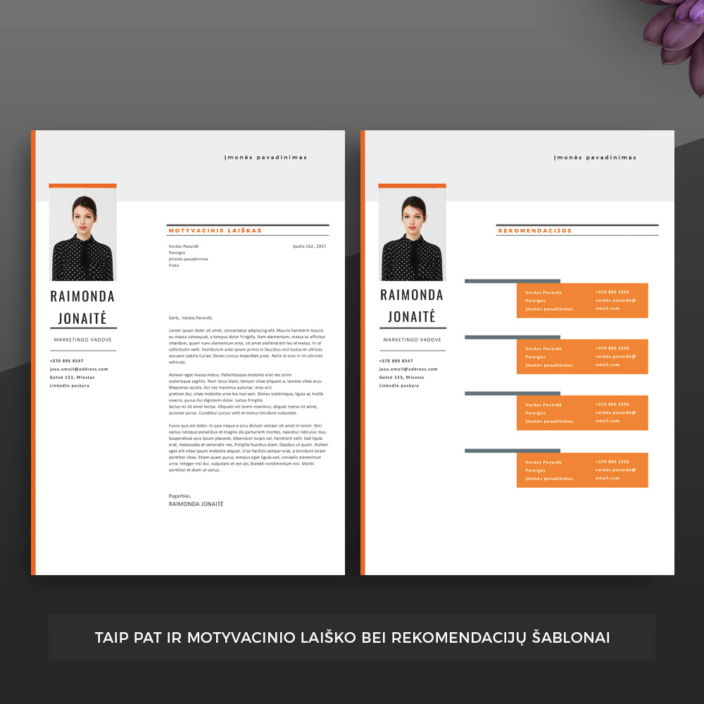 Motyvacinis laiškas ir rekomendacijų puslapis.