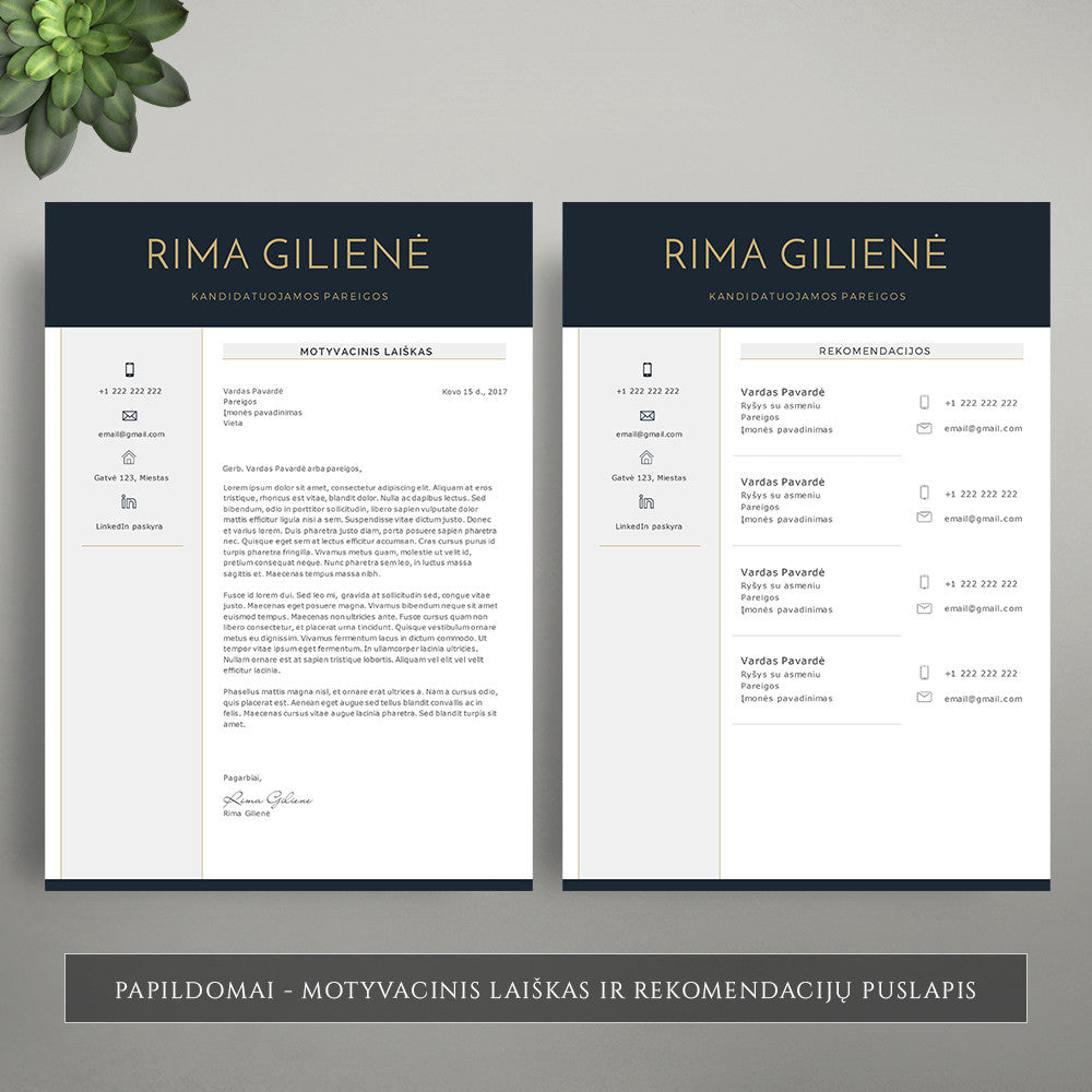 Motyvacinio laiško šablonas, forma, motyvacinio laiško pavyzdys, rekomendacijos